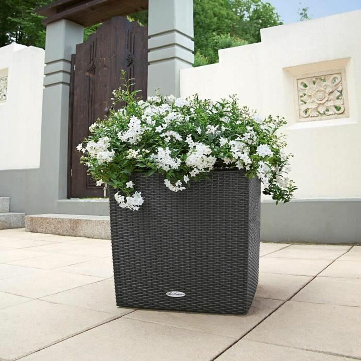 Stiklainis Lechuza 50 x 50 x 50 cm Plastmasinis